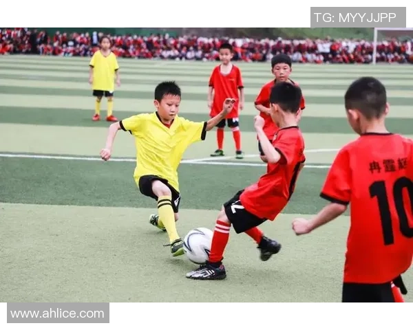 重庆足球队的拼搏之路与杯赛荣耀的背后故事